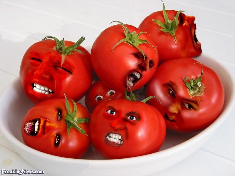 I Hate Tomatoes. Fort Lawn SC