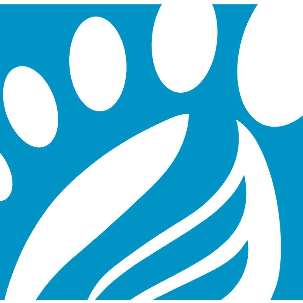 Walk Rite Foundation | Erie PA