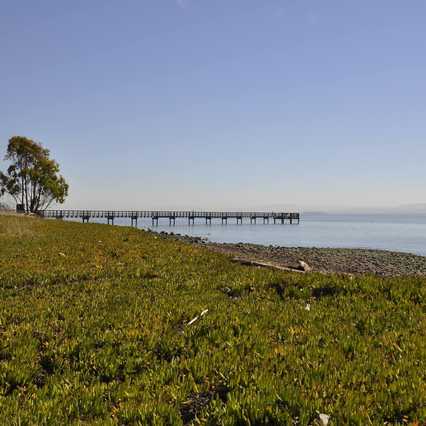 Candlestick Point Park | San Francisco CA