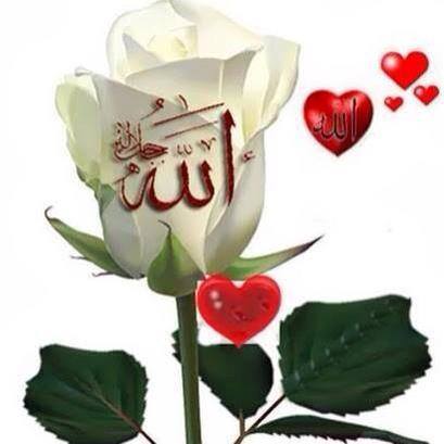 Touheed Ali