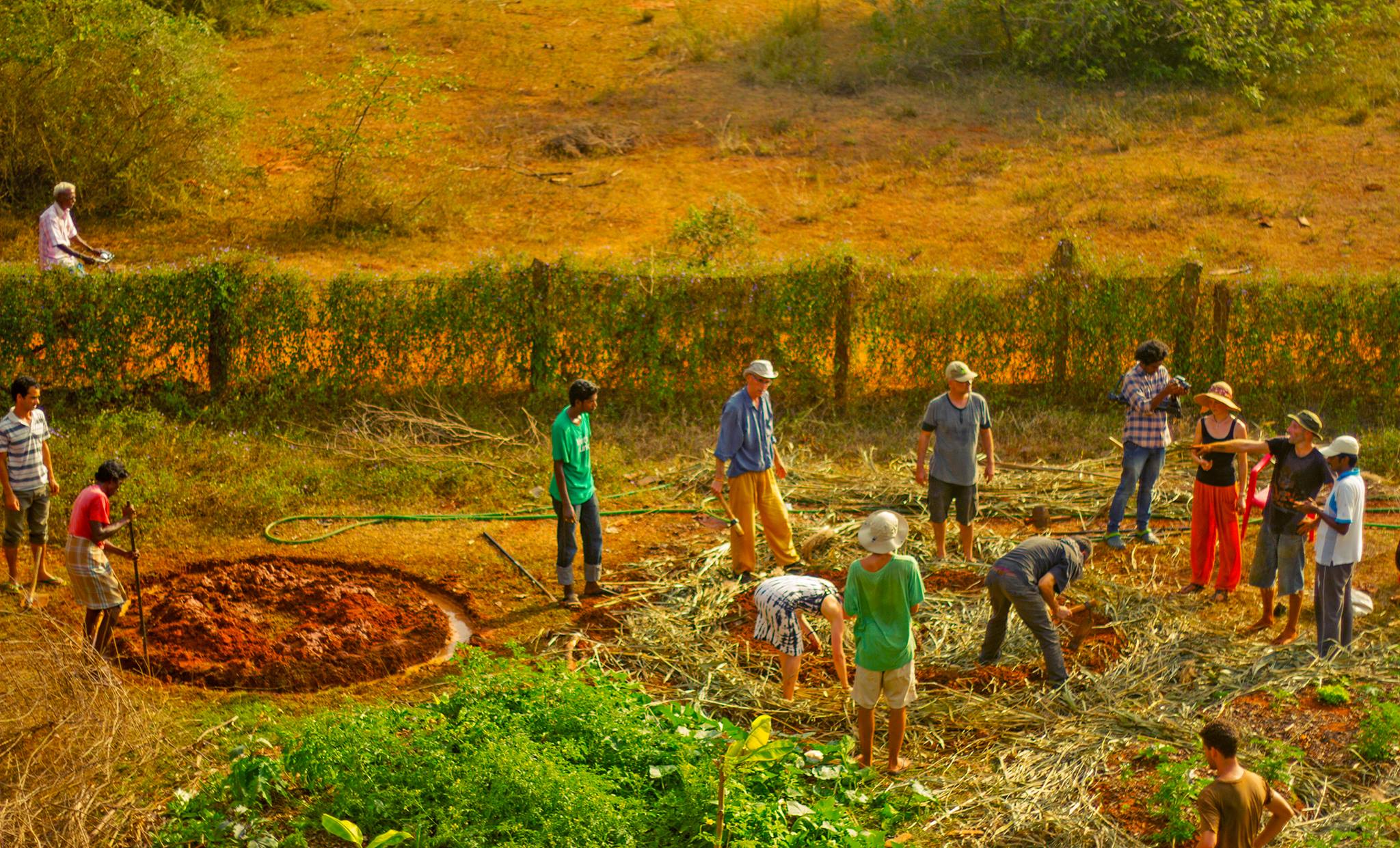 Localicious - Food Gardens Growing in Our Schools Since... | Facebook