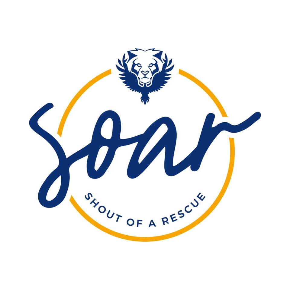 Shout of a Rescue | Miami FL