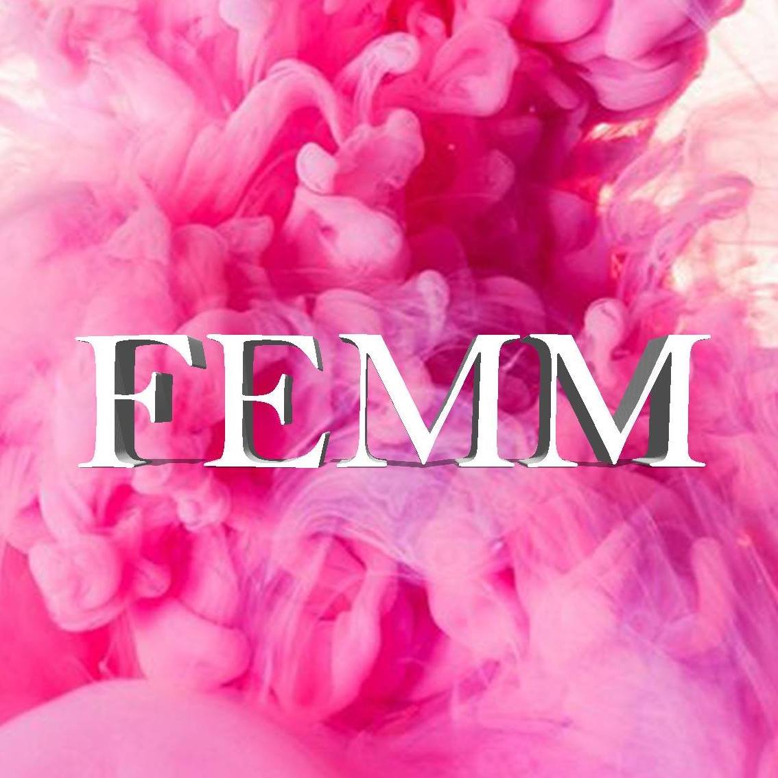 FEMM - Gelijk loon voor gelijk werk! In Nederland bepaalt de Algemene ...