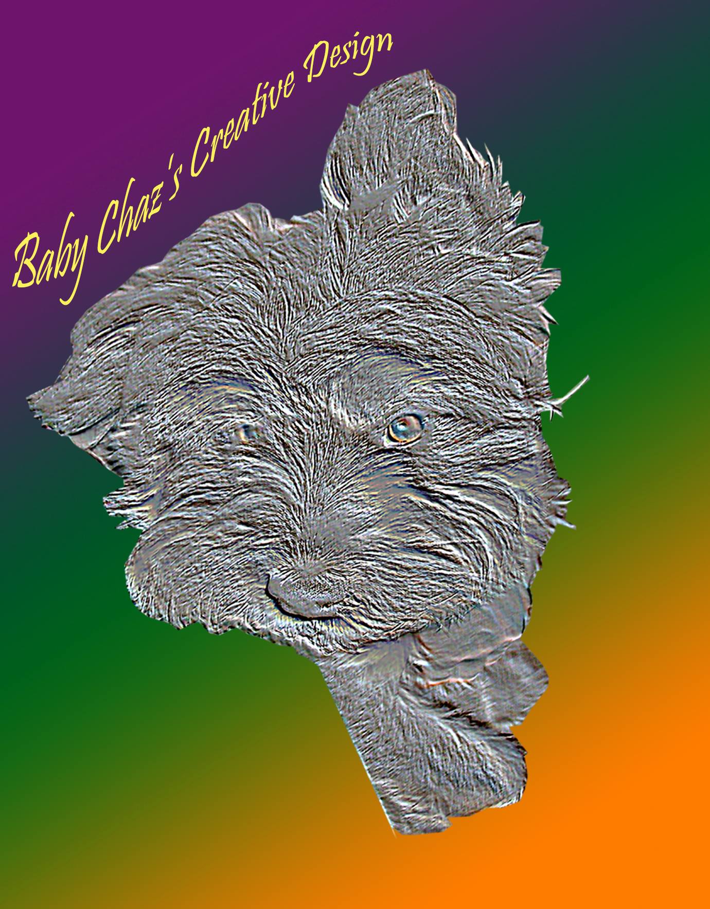 Baby Chaz's Creative Design | Hamilton OH