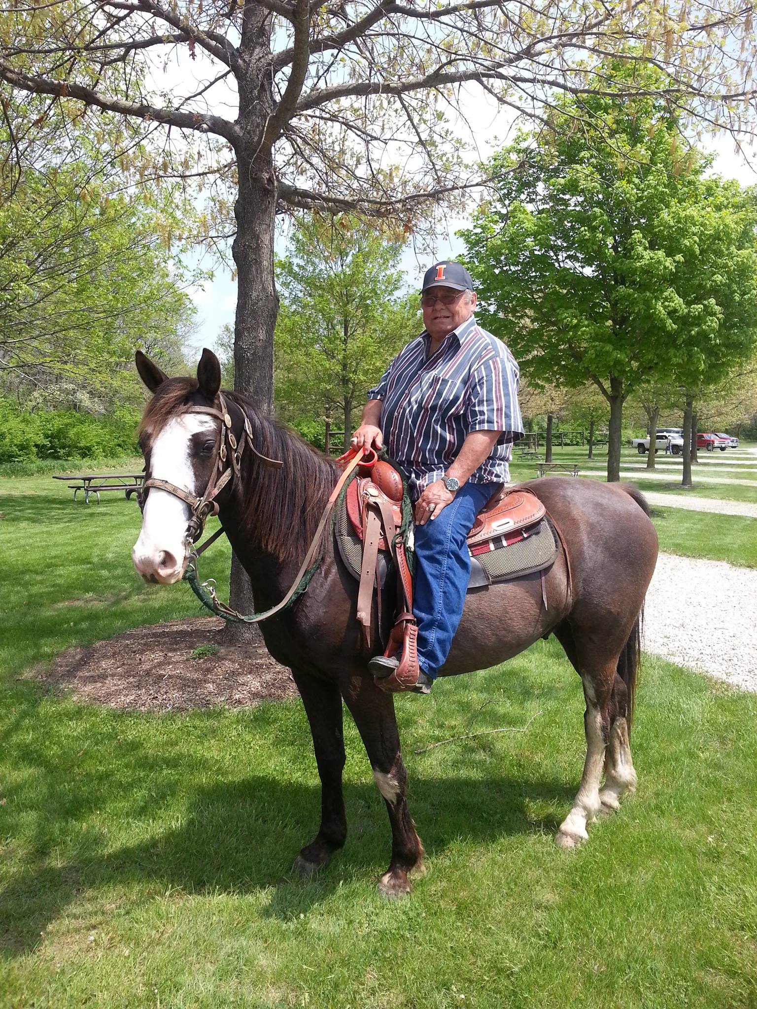 White Pines Ranch | Decatur IL