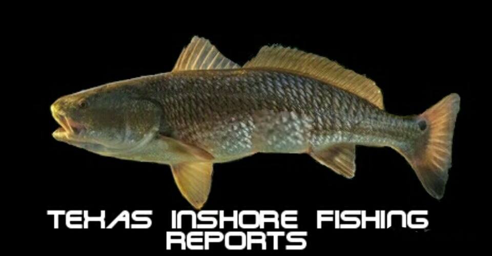 Texas inshore fishing reports