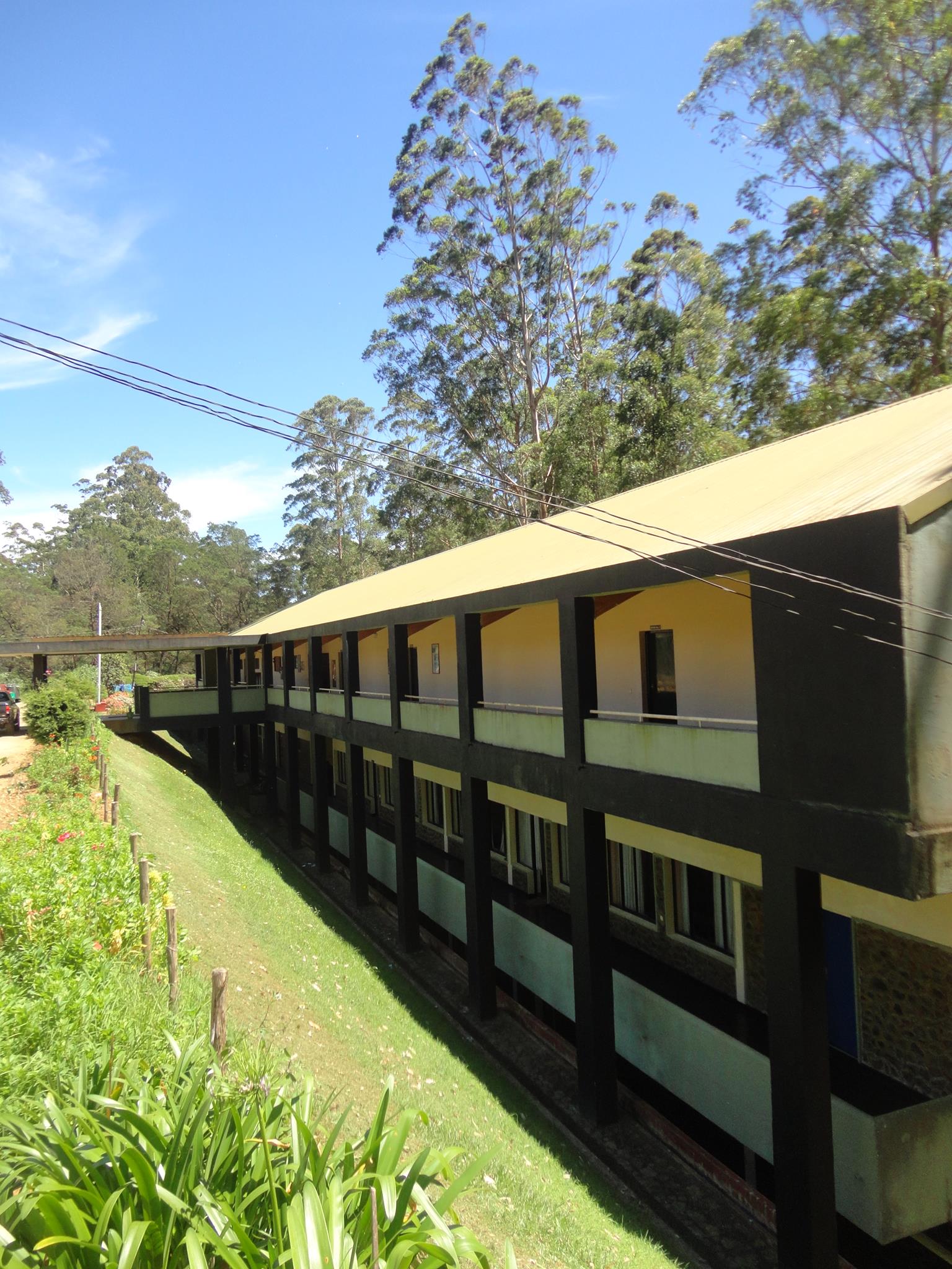 Sri Lanka Forestry Institute