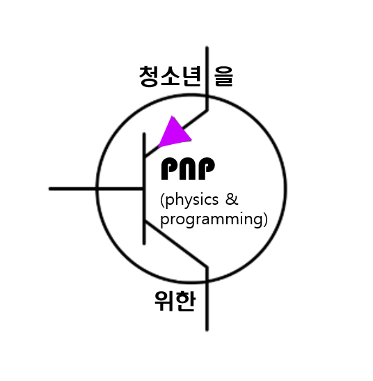 청소년을 위한 PNP : physics & programming