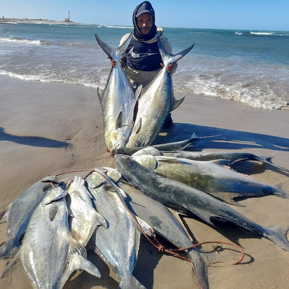 Adil fishing fish