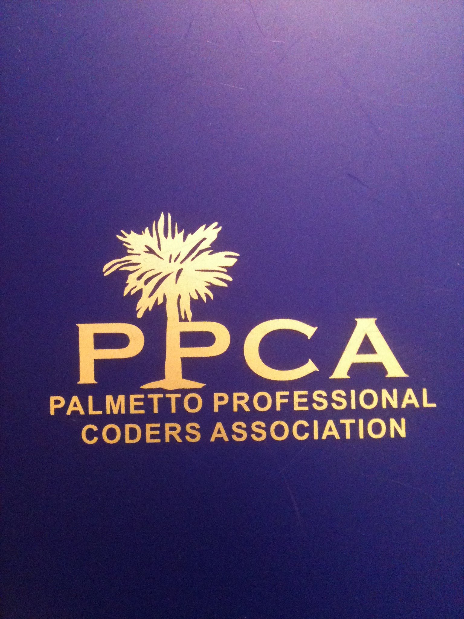 Palmetto Professional Coders Association