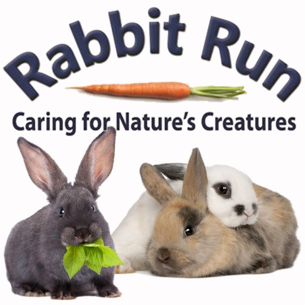 Rabbit Run | Olinda VIC