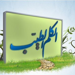 الرد المبين على من يسب السلفيين