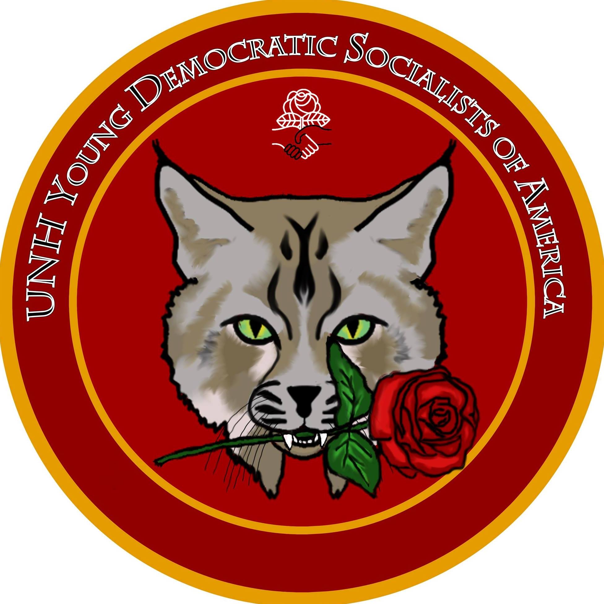 UNH YDSA