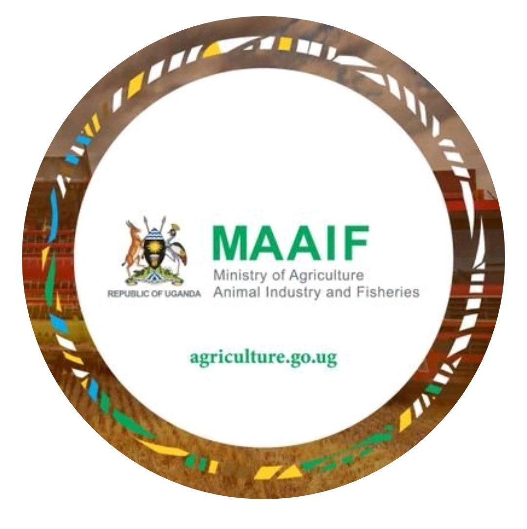 Ministry of Agriculture, Animal Industry and Fisheries (@MAAIFUganda) • Facebook