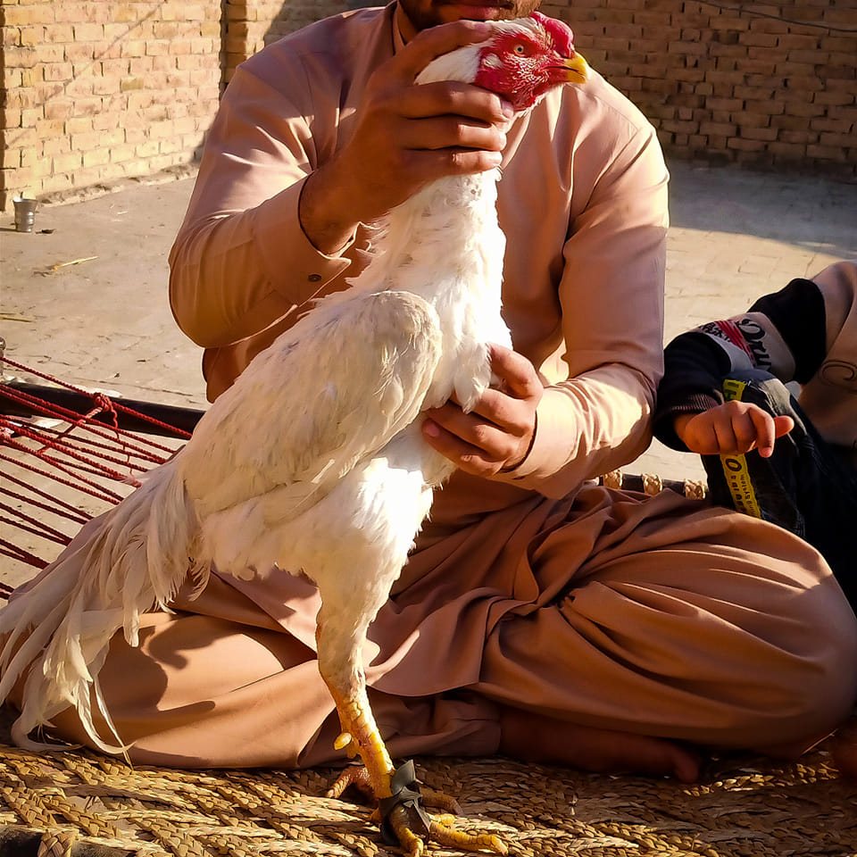 Beautiful world | Lodhran