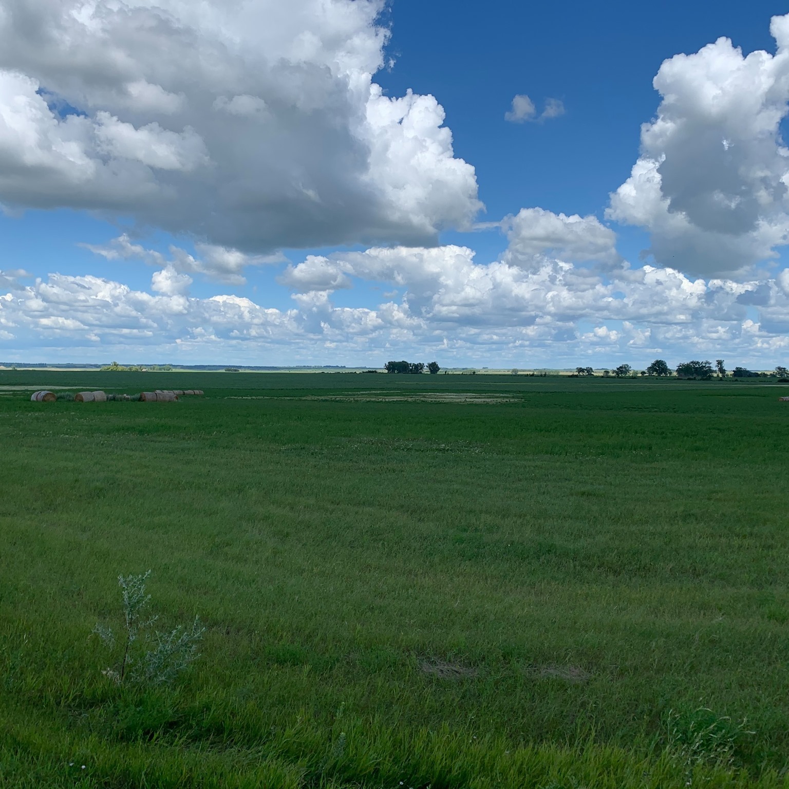 Hurdsfield Happening's | Open houses posted | Facebook
