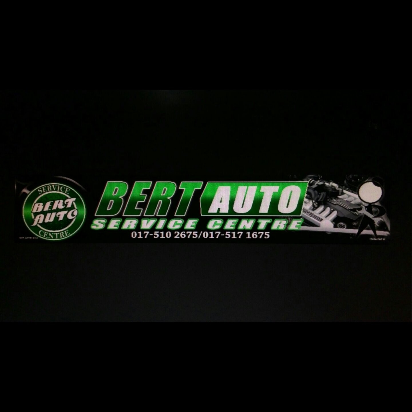 BERT AUTO