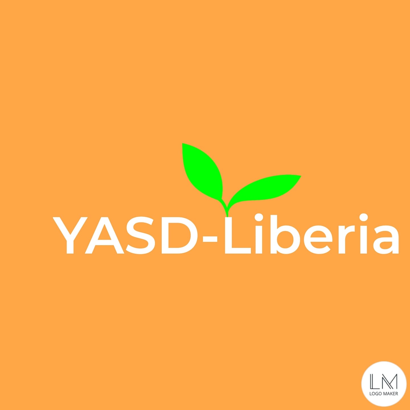 Youth in Action for Sustainable Development -YASD Liberia
