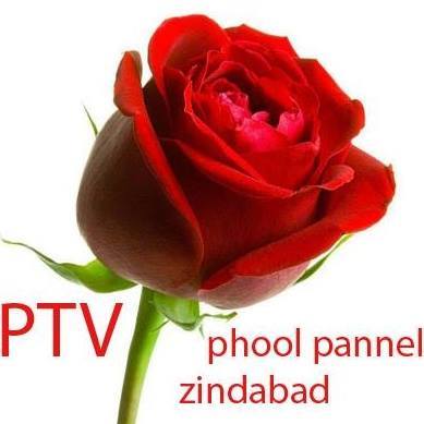 Ptv phool panel pakistan