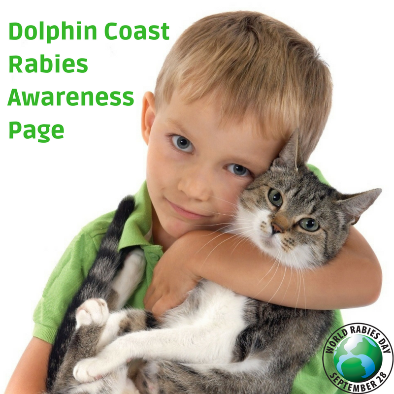 Dolphin Coast Rabies Awareness Page