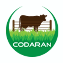 Commercial Dairy Ranchers Association of Nigeria - codaran