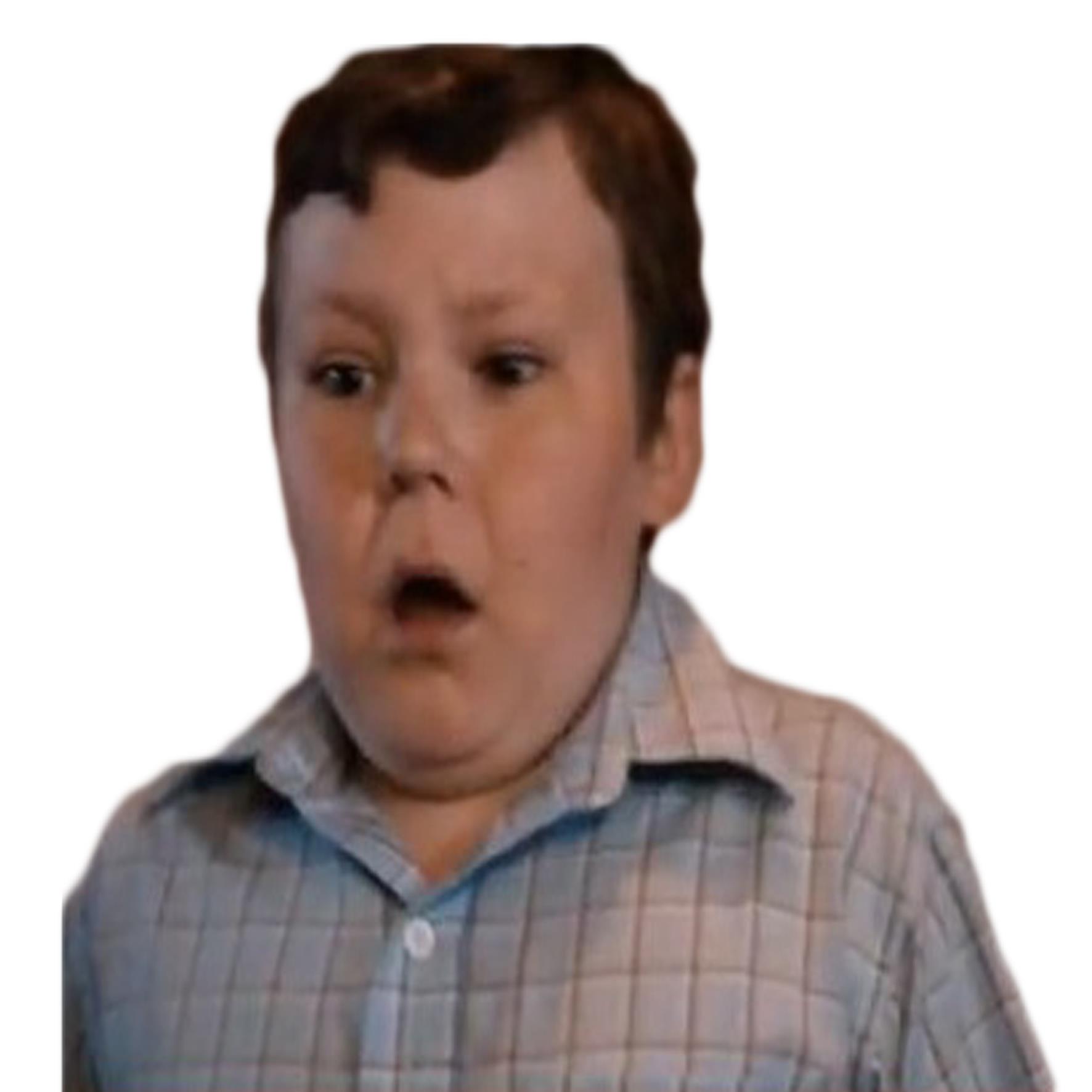 Ragú Kid meme