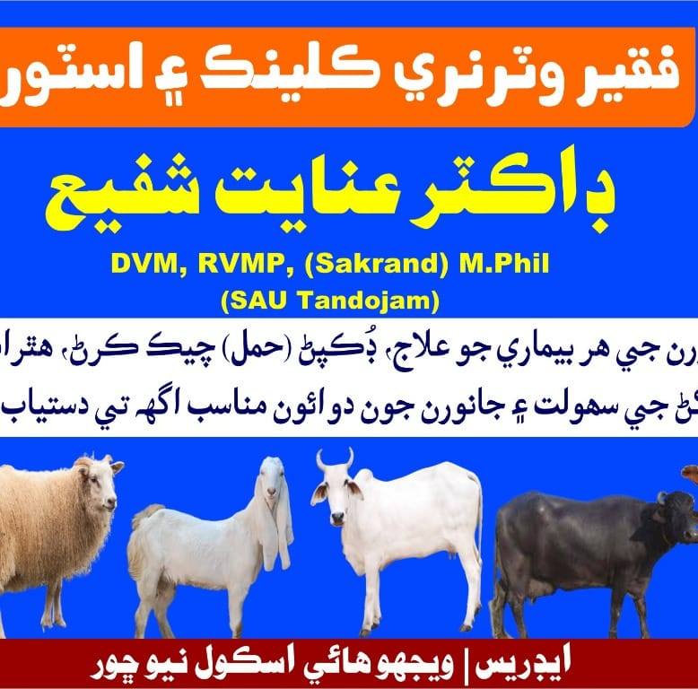 Dr Inayat Shafi | Naya Chor