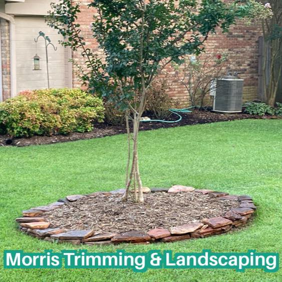 Morris Trimming and Landscaping