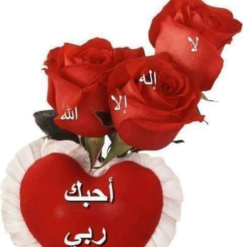 وقل اعملوا - السلام عليكم ورحمة الله وبركاته ٠٠٠ (( لماذا القلق ...