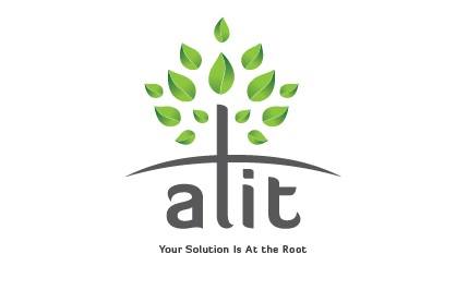 Alit - Small Business Specialists | La Salle QC