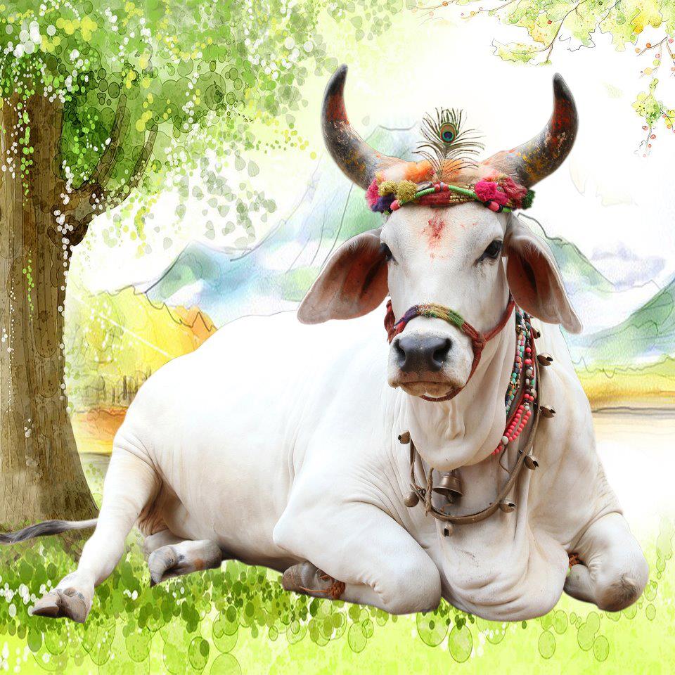 Shri Pathmeda Godham Mahatirth