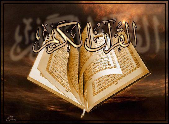 ع ـــشاق مـدينــة ج ــــنين