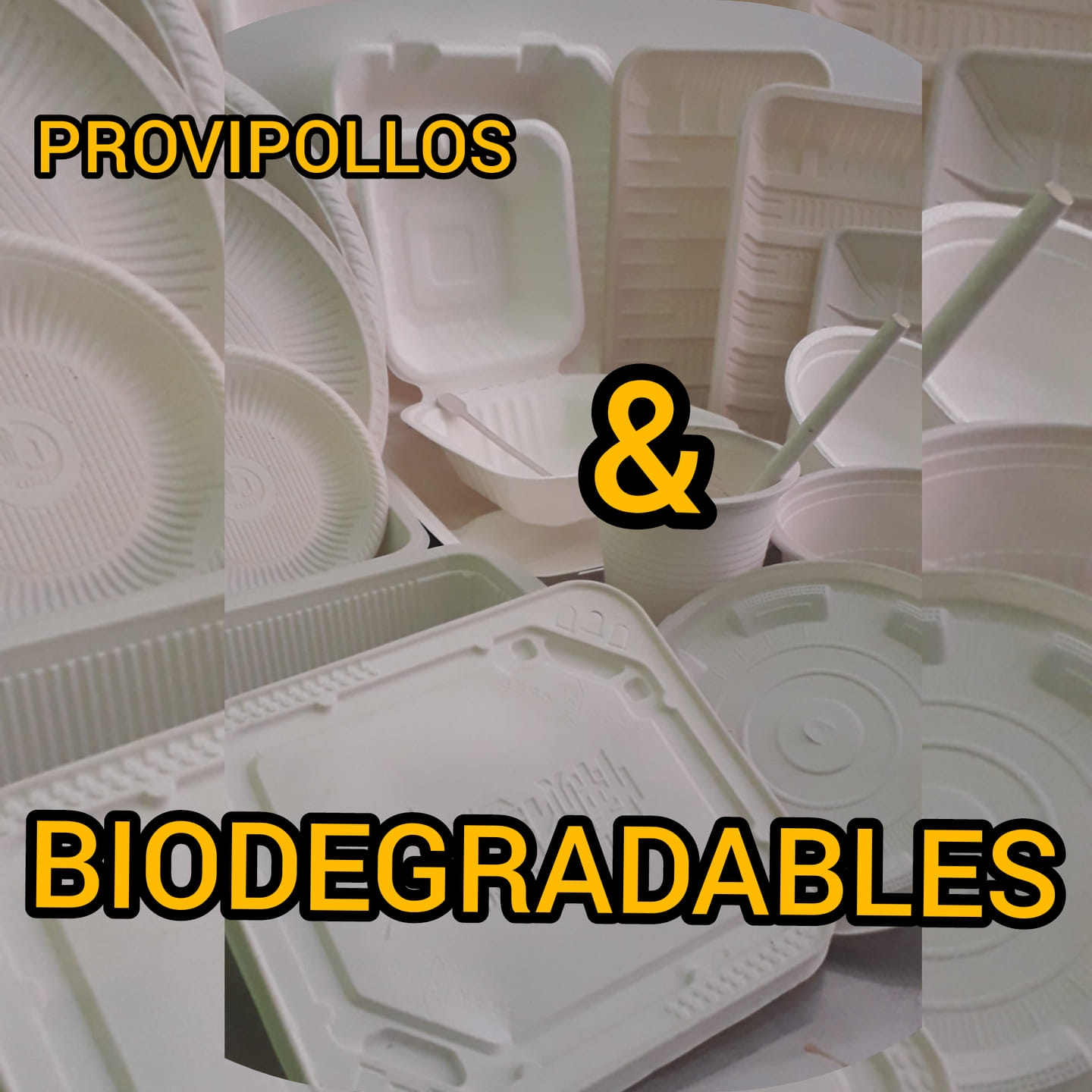 Provi Pollos & Desechables Ecogreen 100% Biodegradables
