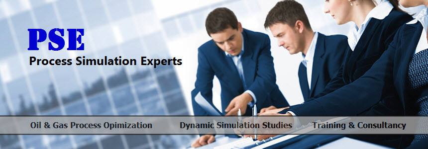 Process Simulation Experts - Dynamic Simulation Studies