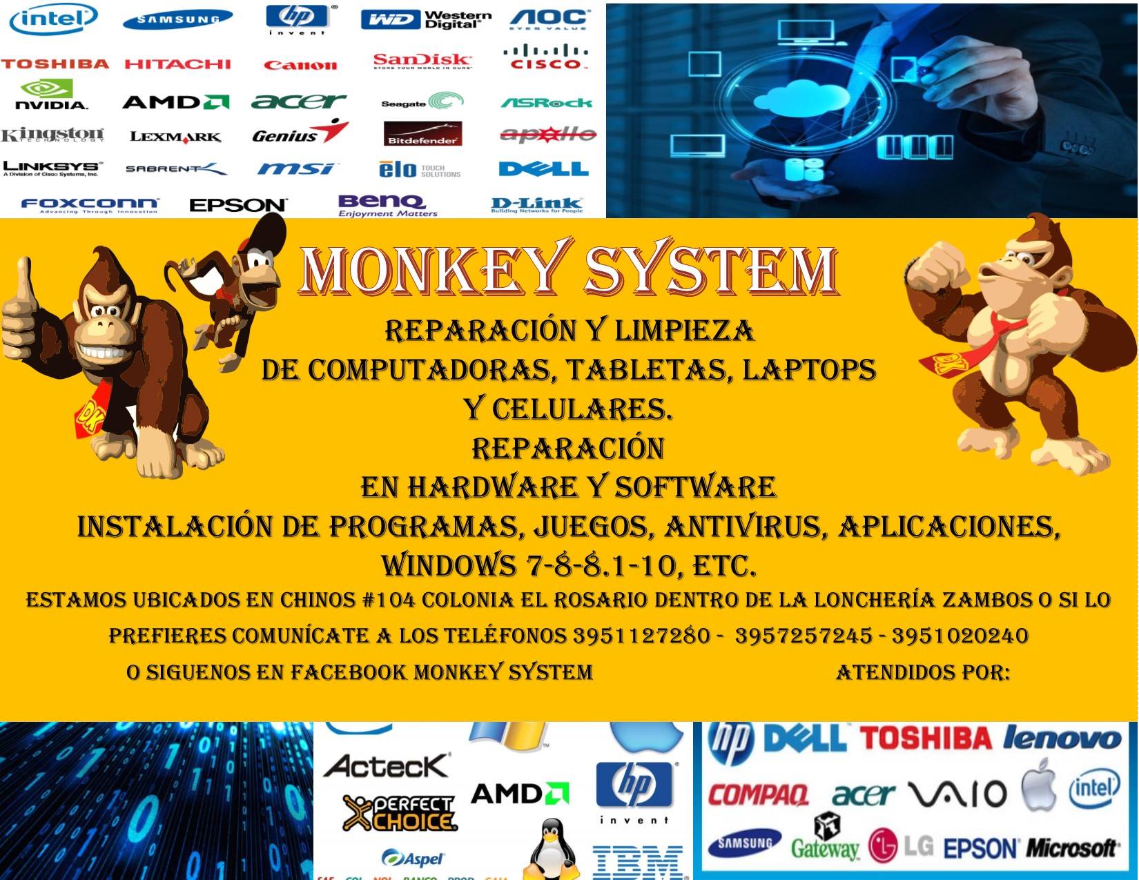 Monkey System | San Juan de los Lagos