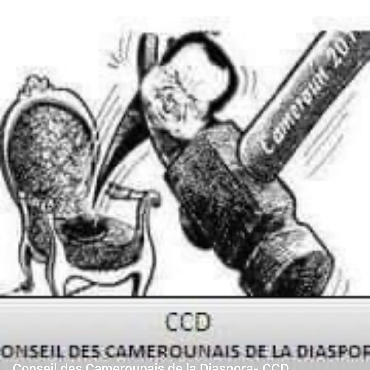 Conseil des Camerounais de la Diaspora- CCD