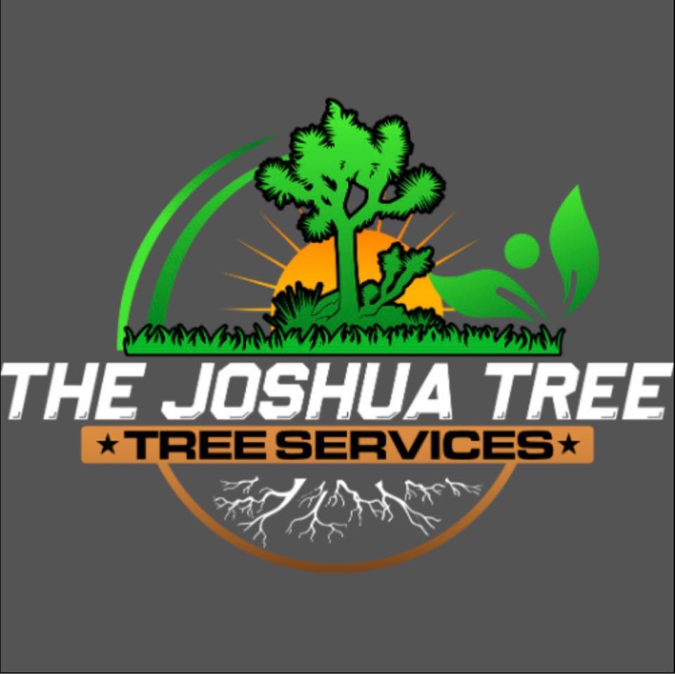 The Joshua Tree SA, Tx | San Antonio TX