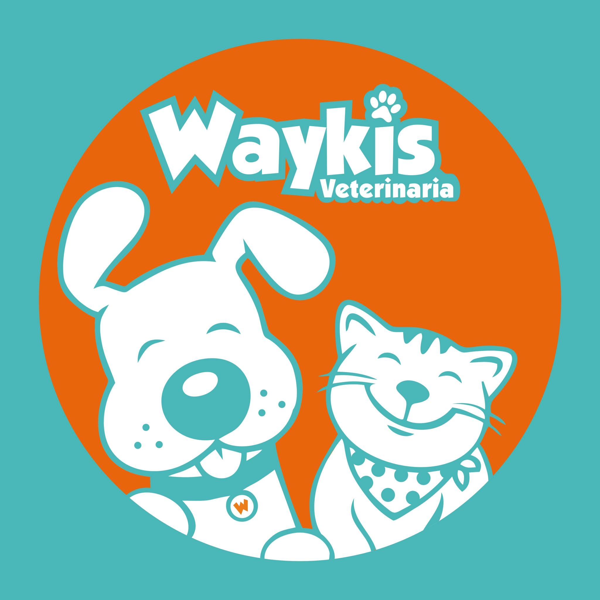 Waykis PET | Lima