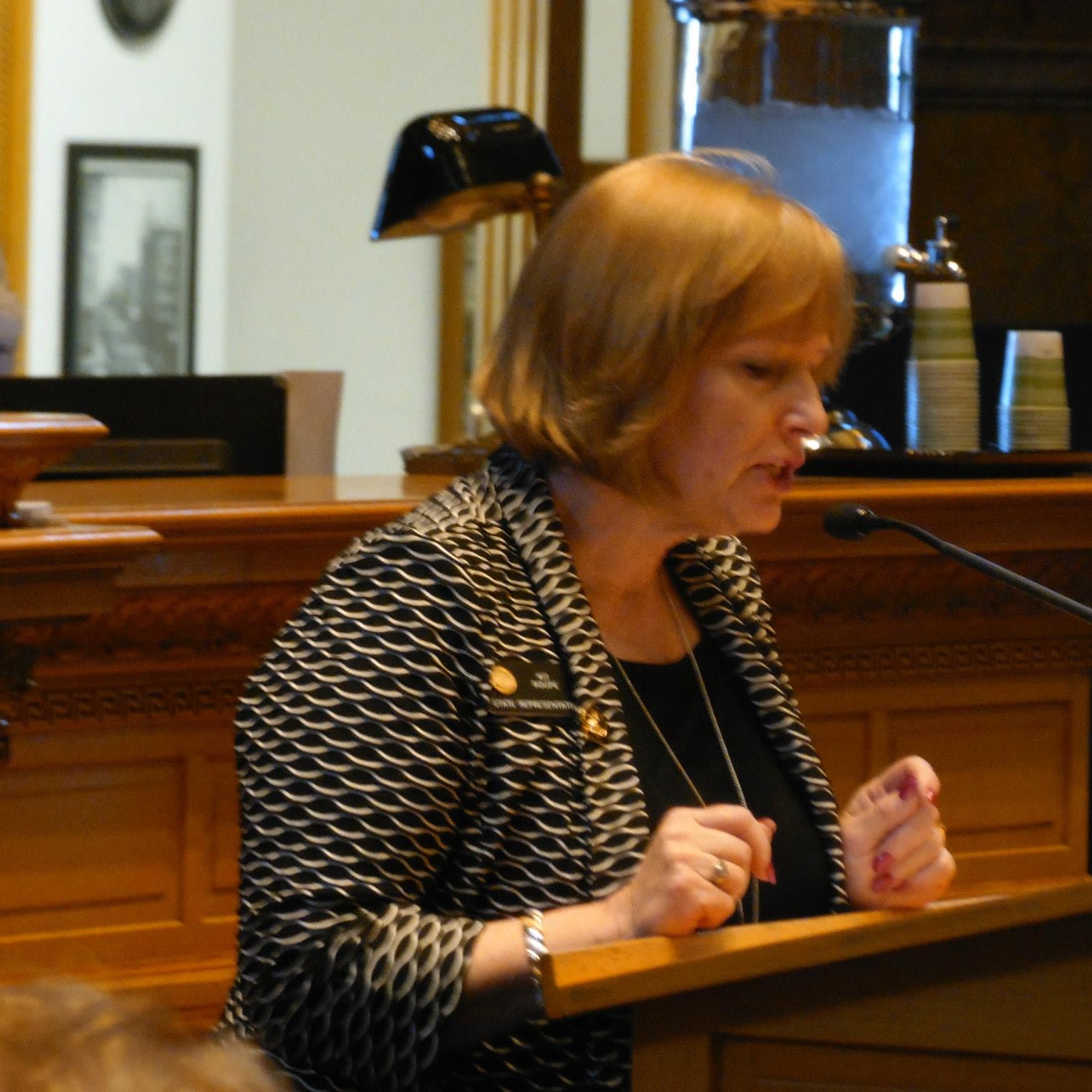 Kit Roupe, State Representative | Osage Beach MO