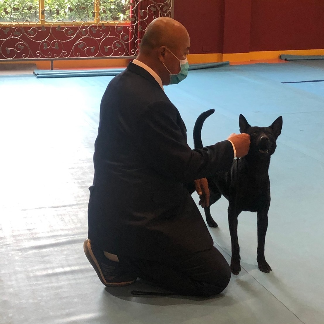 昨天生的，順產，隻隻都健康，媽媽辛苦了！ 早安犬舍 台灣犬Facebook禁止活體買賣 雲林縣特寵業繁字第I1090002號 統編 ...