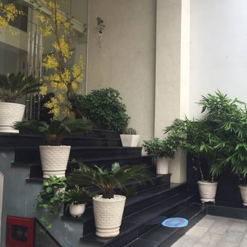 AVS Building | Ho Chi Minh City