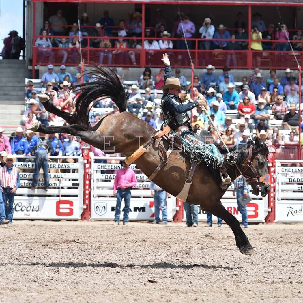 New Star Pro Rodeo