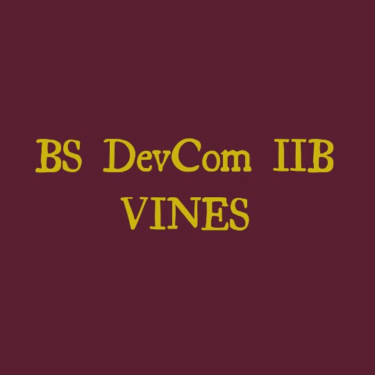 BS DevCom IIB