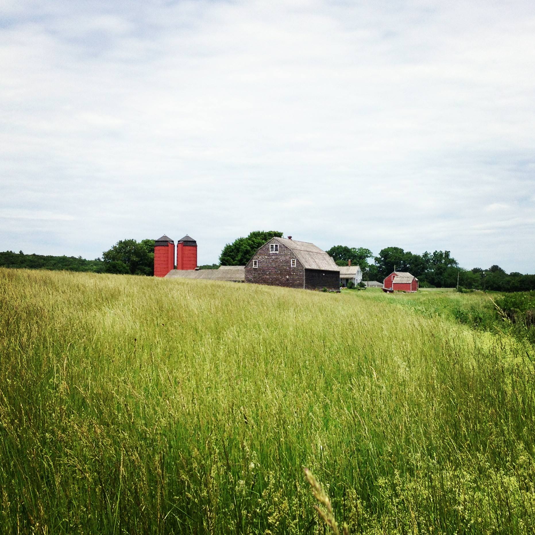Snake Den Farm