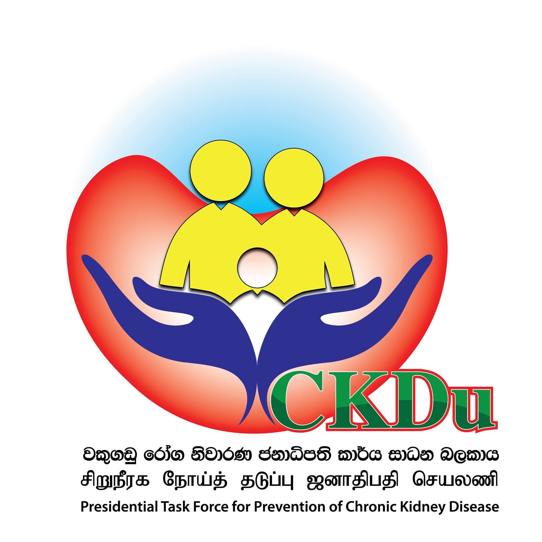 Presidential Task Force on Chronic Kidney Disease Prevention
