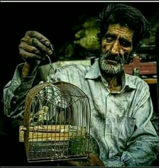 Mo9nin tounsi