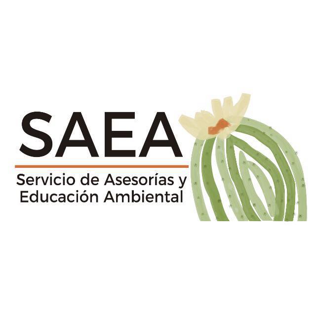 SAEA Chile