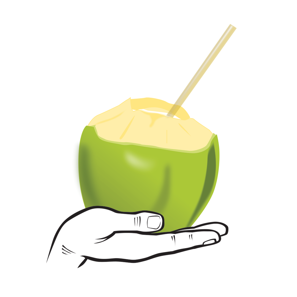Coco Rain -100% Natural Tender Coconut Water | Pollachi