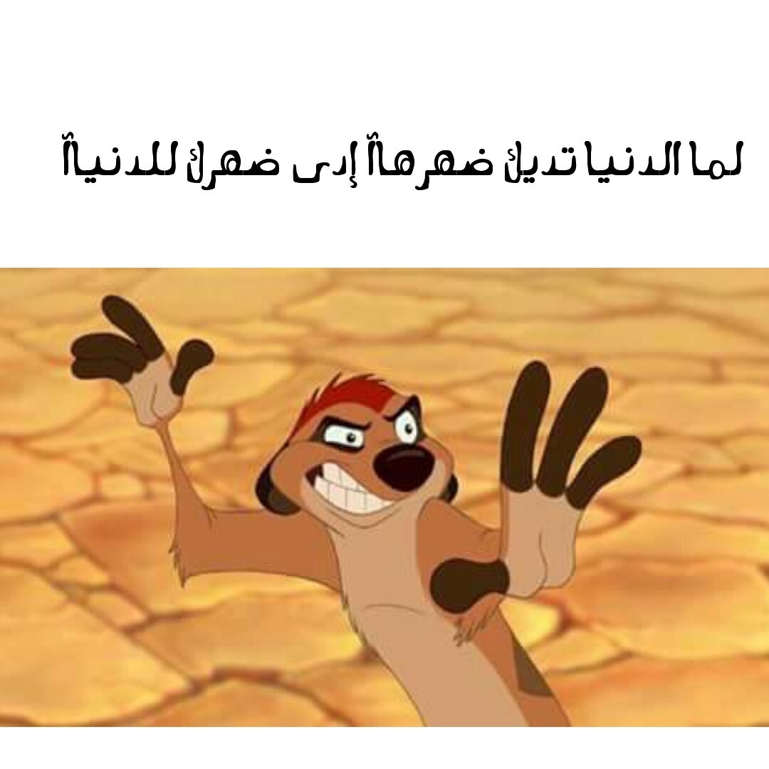 تيمون وبومبا- temoon&bomba