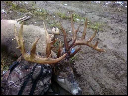 Unofficial: Camp Ripley Archery Hunt